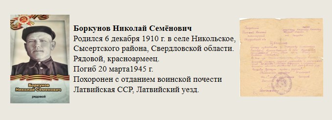Боркунов_Николай_Семёнович.jpg