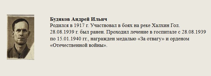 Будяков_Андрей_Ильич.jpg