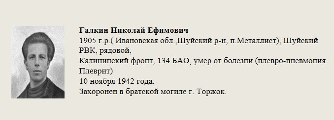 Галкин_Николай_Ефимович.jpg