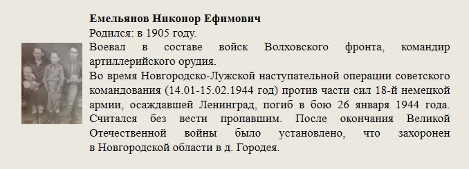 Емельянов_Никонор_Ефимович.jpg