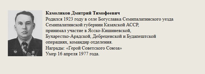 Камоликов_Дмитрий_Тимофеевич.jpg