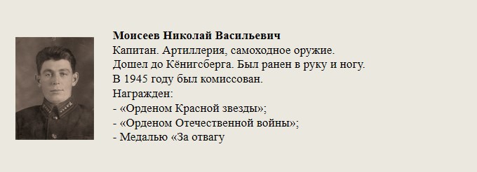 Моисеев_Николай_Васильевич.jpg