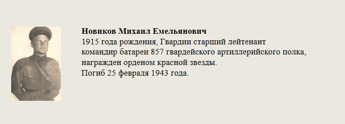 Новиков_Михаил_Емельянович.jpg