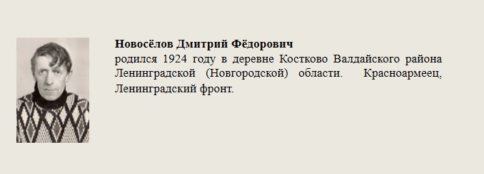 Новосёлов_Дмитрий_Фёдорович.jpg