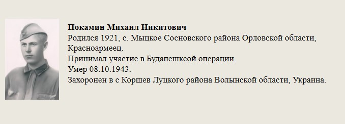Покамин_Михаил_Никитович.jpg