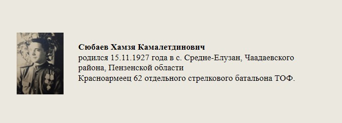 Сюбаев_Хамзя_Камалетдинович.jpg