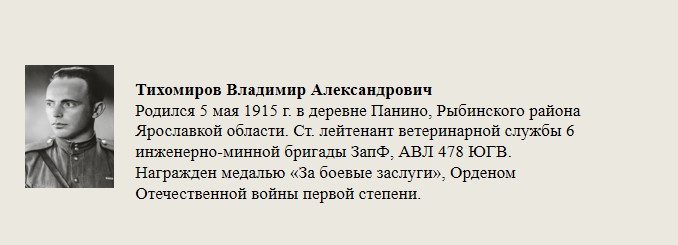 Тихомиров_Владимир_Александрович.jpg